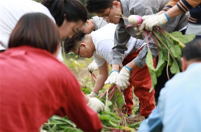 1572573910957227.jpg 1.2.jpg